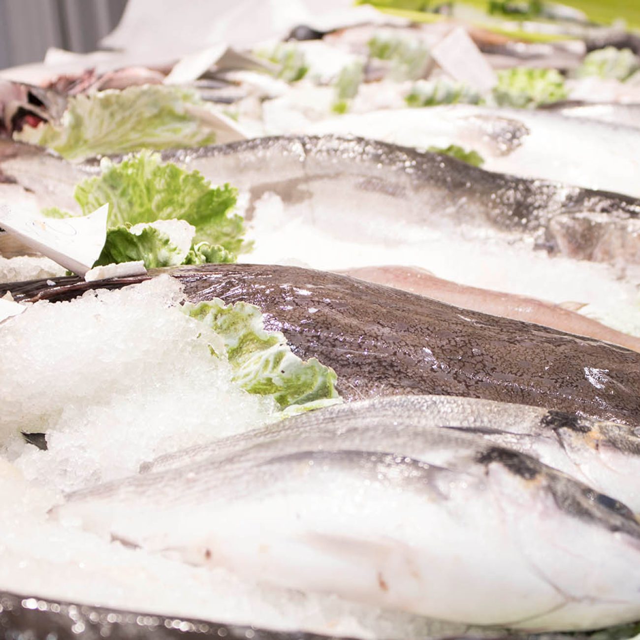 Pescadería Etxezuri en Deusto