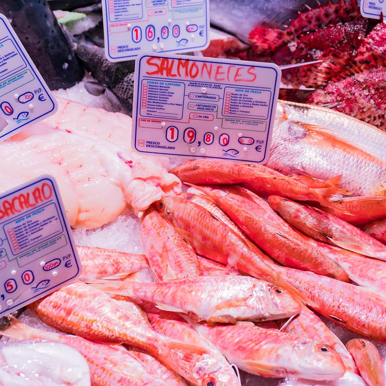 PESCADOS HURTADO DE AMEZAGA EN BILBAO